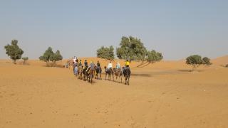 Erg Berber Tents - 0