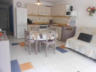 APPT 3 PIECES 44m2 + TERRASSE 14m2 REF 4039 - Le Castellas - 8