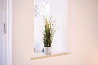 Tuscolana Blu Apartment - Grazioso Monolocale - Roma - 8
