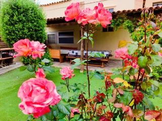 Casa rural Cal Codina - Prats del Rey - 8