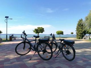 Apartment in Balatonöszöd 20195 - Balatonőszöd - 4