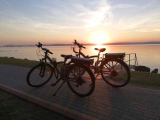 Apartment in Balatonöszöd 20195 - Balatonőszöd - 2