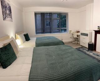 PRIVATE ROOM IN SIDMOUTH STREET, KINGS CROSS - Londra - 1