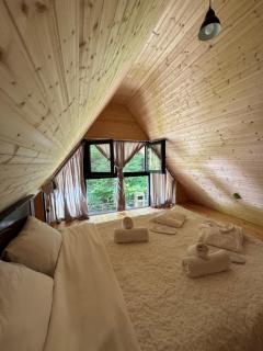 Chalet Rivier • შალე რივიერ - 5