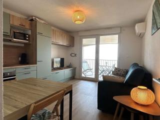 Appartement 2 pièces climatisé avec terrasse et parking à Banyuls-sur-Mer - FR-1-225C-500 - Banyuls-sur-Mer - 4