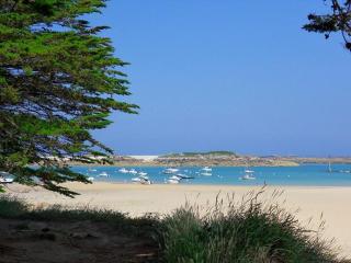Maison 4 pers avec jardin, wifi et parking 800m de la plage - Pleumeur-Bodou - FR-1-542-39 - Pleumeur-Bodou - 2