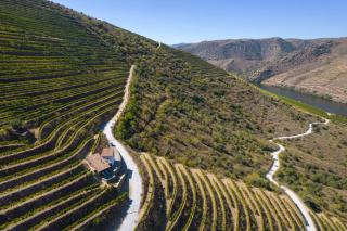 Casa do Rio - Douro Wine Hotel by Vallado - Vila Nova de Foz Coa - 8