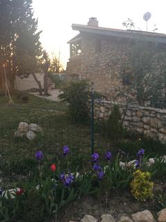 Romantische Bauernhofvilla inmitten der Weinberge - Salles-d'Aude - 7