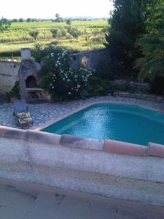 Romantische Bauernhofvilla inmitten der Weinberge - Salles-d'Aude - 4