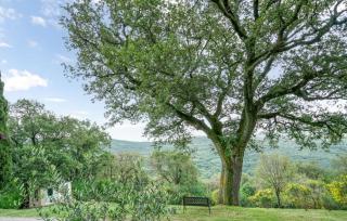 Podere Frassinelli - 4