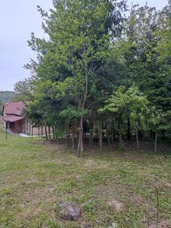 Őrségi Kuckó - - 2