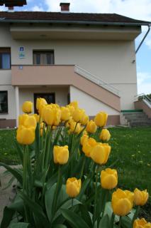 Apartman Arena - 3