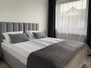 Albian Apartamenty - Jantar - 7