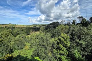 Byron Bay Hinterlands Dreaming Woods Cabin Three - Bangalow - 3