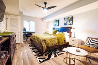 Huge 15000sf Pool Modern Studio at Barefoot Resort - Myrtle Beach - 1