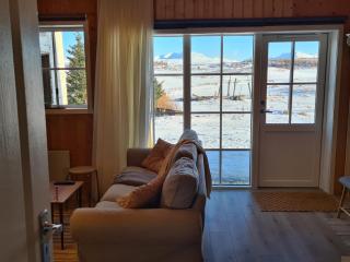 Hallfreðarstaðir 1 Apartments - Kirkjubær - 3