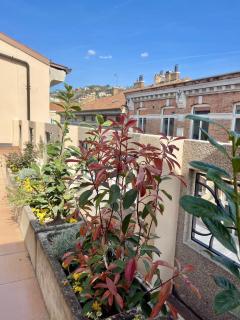 Accommodation Trieste Terrazza Polonio - 5