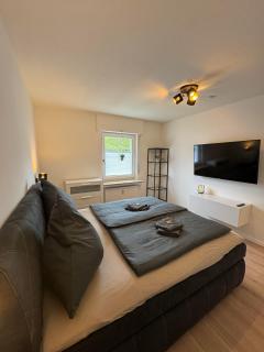 Direkt am See Winterberg Elkeringhausen - 9