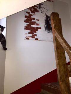 Appartement en centre ville - 5