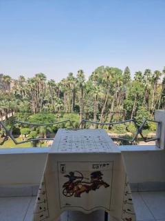 Palace apartment in unique historical area in Manial - Cairo - 6