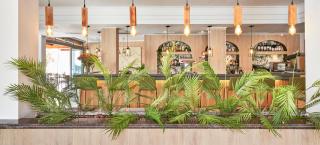 Flacalco Hotel & Apartments - Cala Ratjada - 5