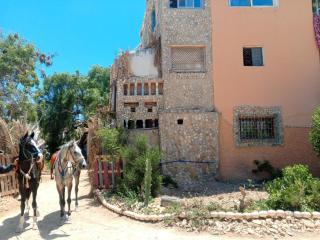 Rasta Surf House - 9