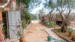 Rasta Surf House - Awrir - 7