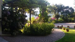 Villa Dimitra - Skala Potamias - 6