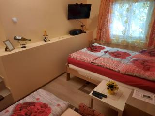 Weekend house Jasmina, Novi Sad in Torine Ledinci - Ledinci - 8