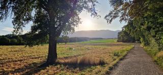 Magnifique appartement - 3