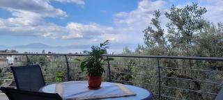View House - Agria - 5