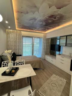 Apartament pod różą Szajnowicza Iwanowa 27a - Kielce - 5