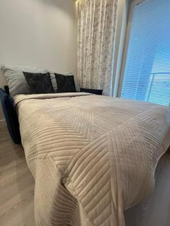 Apartament pod różą Szajnowicza Iwanowa 27a - Kielce - 9