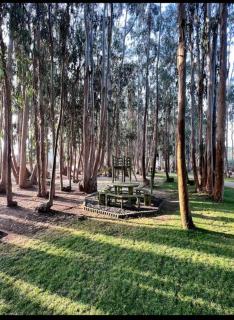 Depto Costa Algarrobo, Mirasol - Yeco - 6