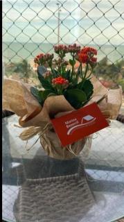 Marina Bezerril - Ahead 203 Ponta Negra - 9