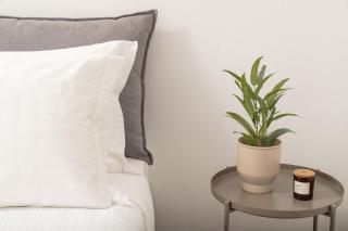 Thelèsi Apartments, 100m from the beach - Stalós - 8