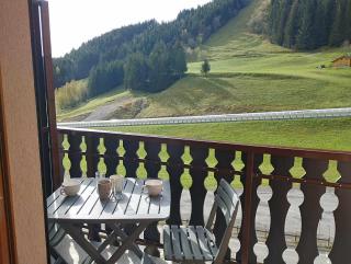Charmant studio vu sur la montagne - Le Biot - 8