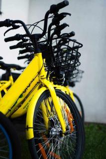 DOMKI POD DĘBEM - 2