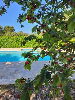Trulli Gianfelice - Martina Franca - 5