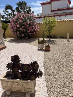 Villa Torrevieja - La Mata - 4