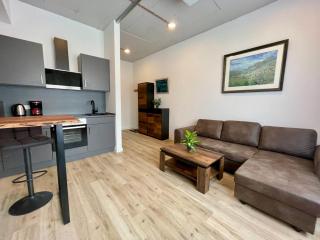 Wunderschönes Apartment am Schlössle Zentrum Pforzheim - Pforzheim - 3