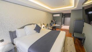Hive Mexico City by G Hotels - Città del Messico - 6