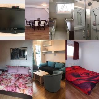Sonja apartment - Novi Sad - 5