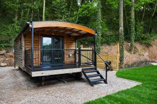 Wildwood Quarry Retreat - Mold - 6