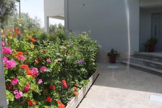 Michaelangelo Apartments - 6