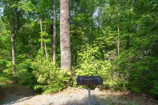 Love Leigh by Stony Brook Cabins - Gatlinburg - 5