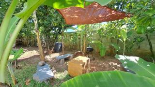 MOOREA - Studio Natura - Hauru - 9