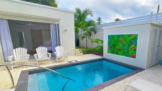 Colourful Serene 3BR Luxury Villa at Porters Place - Saint James - 1