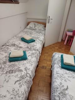 Apartma 6084 volk terme Čatež - Brežice - 1