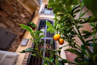 Central apartment Taormina - Taormina - 5